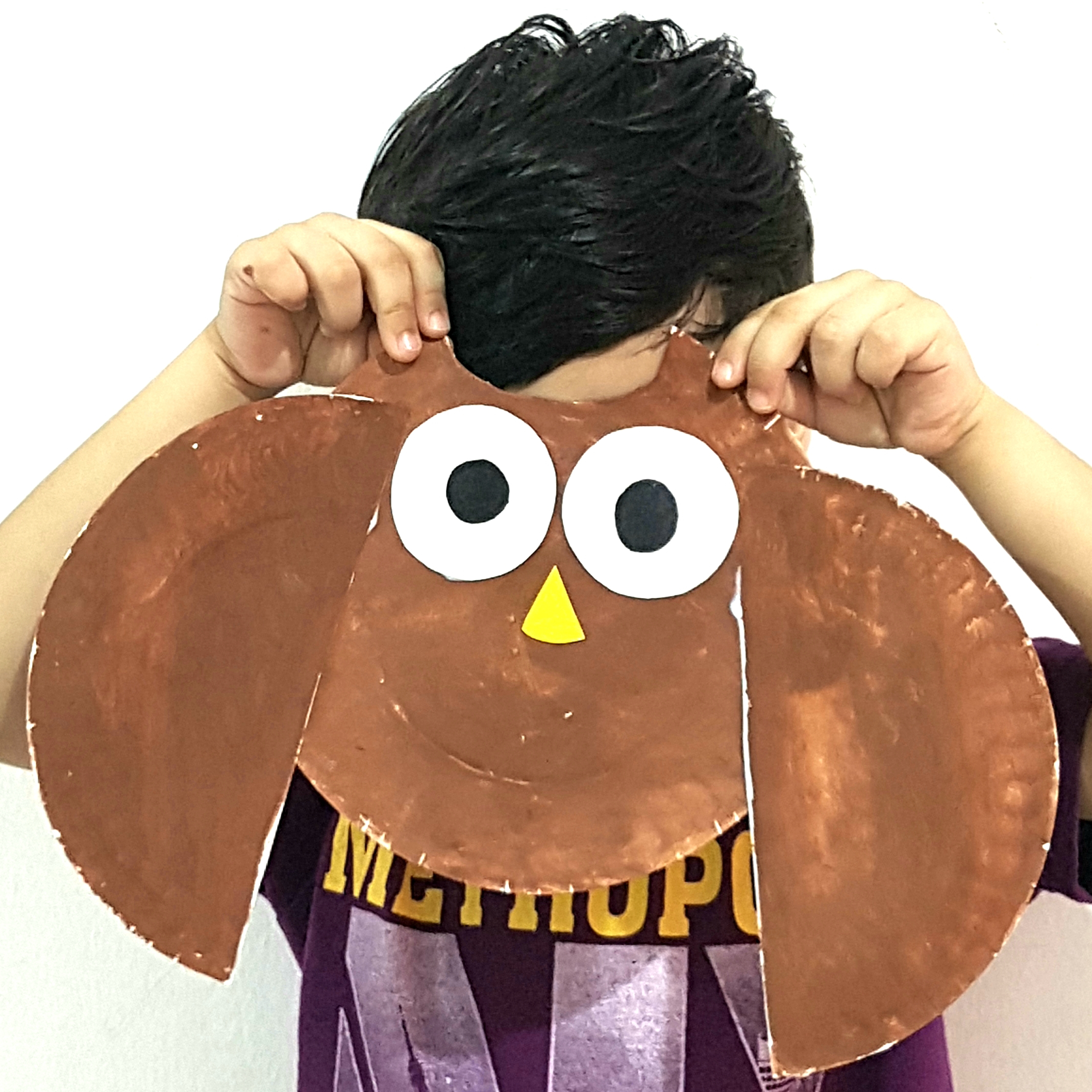 Paper Plate Owl mask