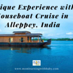 Unique Experience with Houseboat Cruise in Alleppey India
